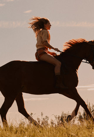 a-woman-riding-a-dark-horse-across-a-grassy-field-at-sunset-shown-in-profile-with-warm-golden-light-and-a-soft-blurred-background